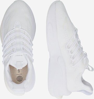 ADIDAS SPORTSWEAR - Zapatillas de running 'Alphaboost V1' en blanco