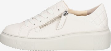 Sneaker bassa di Paul Green in bianco