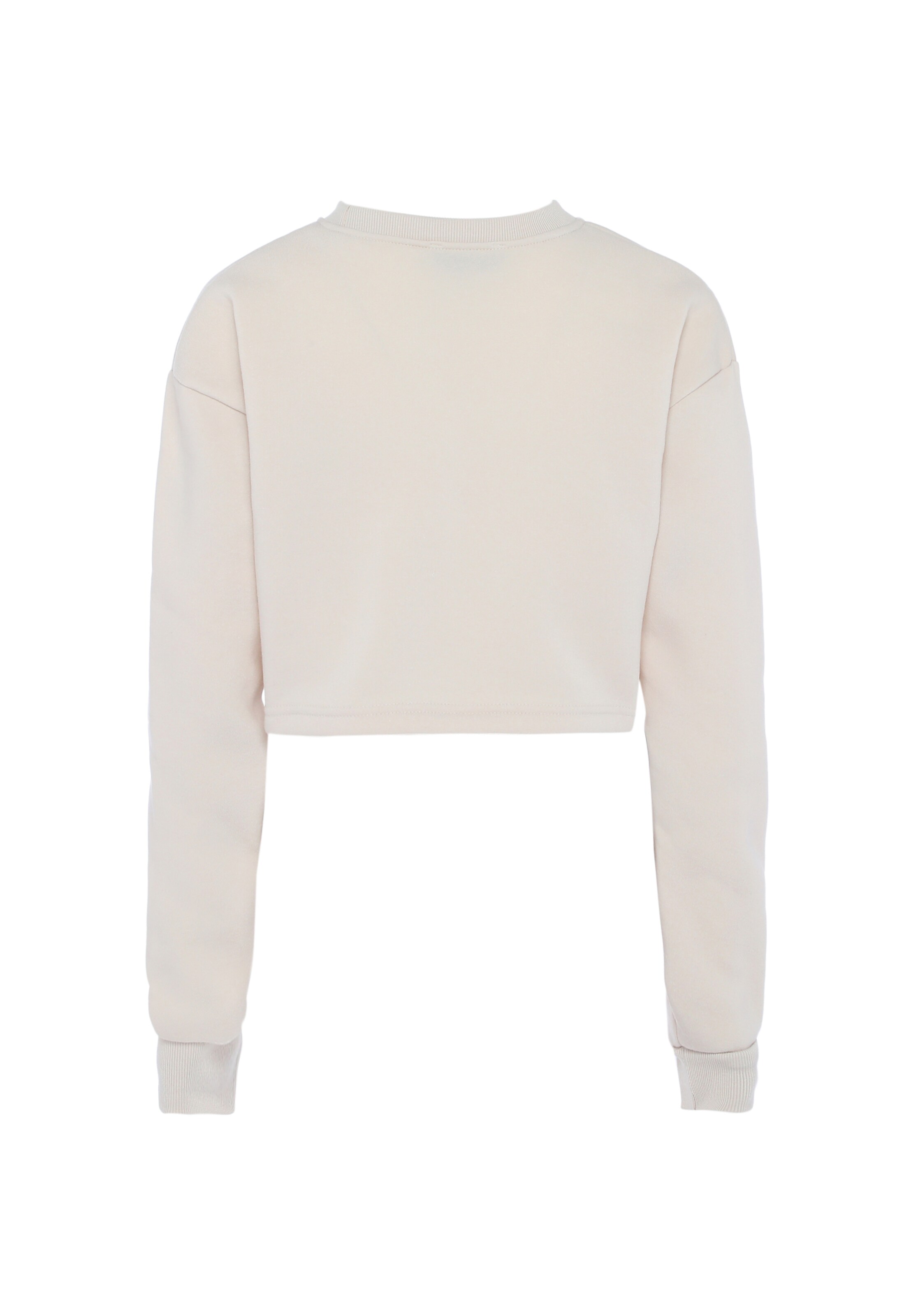 Colina - Sweatshirt em branco