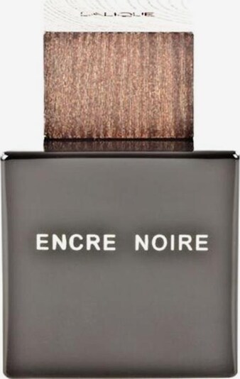 LALIQUE Eau de Toilette 'Encre Noire' in braun, Produktansicht