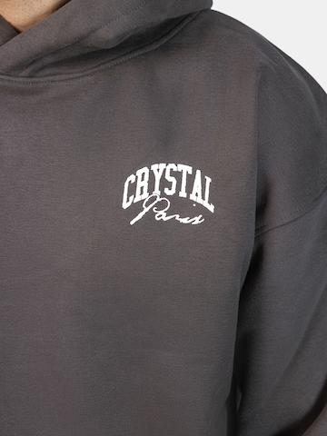 Crystal Paris Sweatshirt 'Nightwolf' in Grey