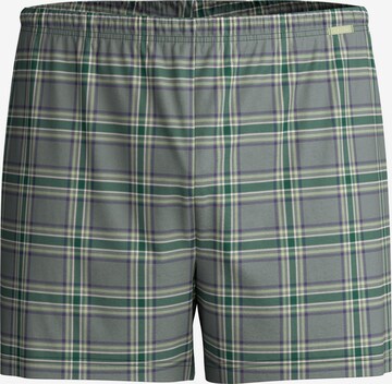 CALIDA Boxer shorts 'Prints' in Green: front