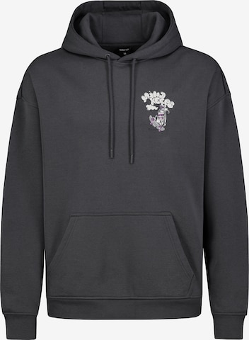 Sublevel Sweatshirt in Grijs: voorkant