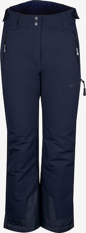 TROLLKIDS Workout Pants in Blue: front