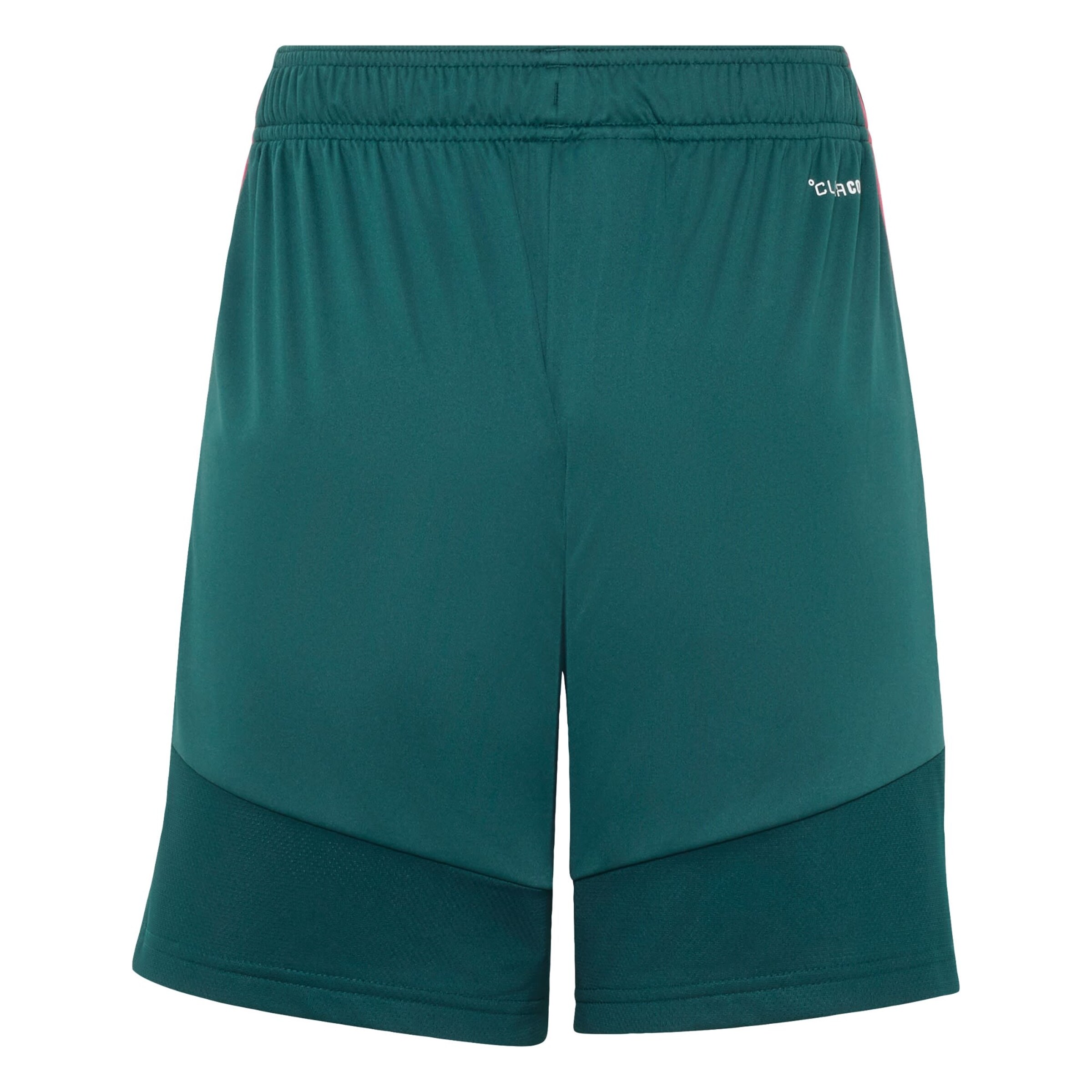 ADIDAS PERFORMANCE - regular Pantalón deportivo 'Jude Bellingham Tiro League' en verde