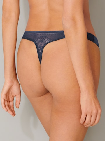 SCHIESSER Thong in Blue