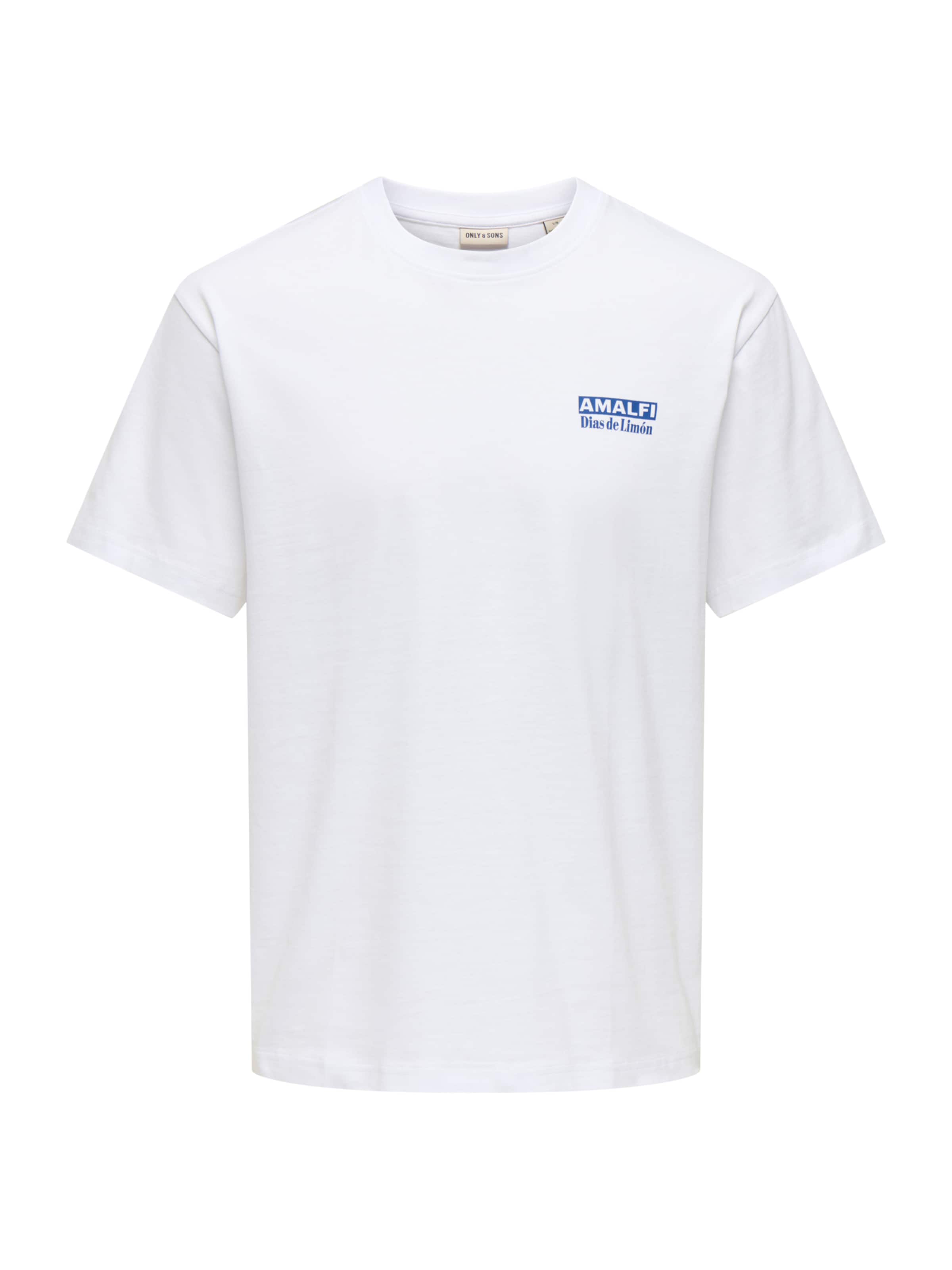 Only & Sons Shirt 'ONSFRED' in White: front