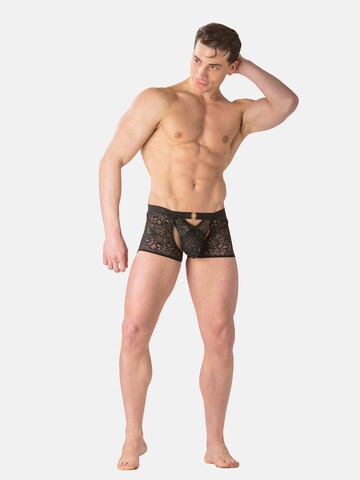 WOH Slip ' Pure Seduction ' in Zwart