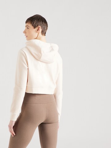 AÉROPOSTALE Sweatshirt in Beige