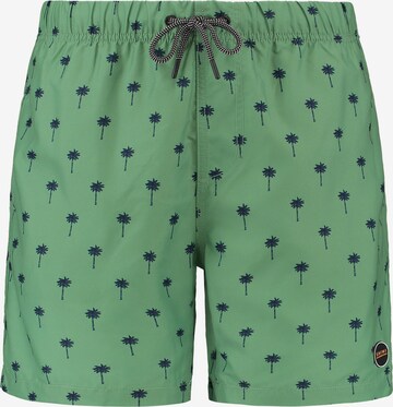 Pantaloncini da bagno 'PALM' di Shiwi in verde: frontale