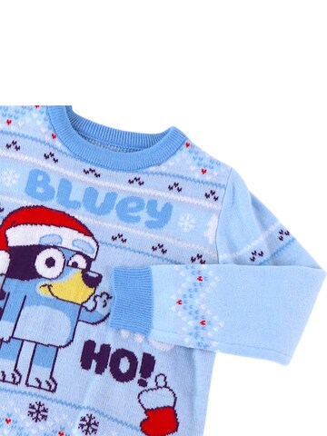 Bluey Sweater in Blue