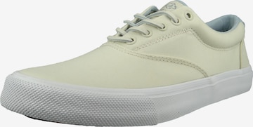 Coupe slim Chaussure basse 'Stiper II' SPERRY en beige : devant