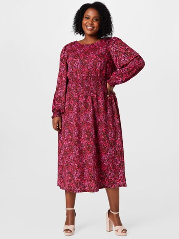 Dorothy Perkins Curve Obleka | roza barva: sprednja stran