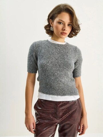 Pullover di Bianco Lucci in grigio: frontale