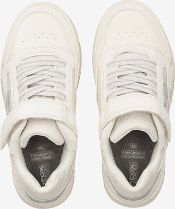 Baskets GEOX en blanc