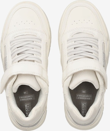 GEOX Sneakers in White