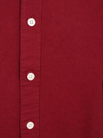 KING Essentials Regular fit Button Up Shirt 'The Tommy' in Red