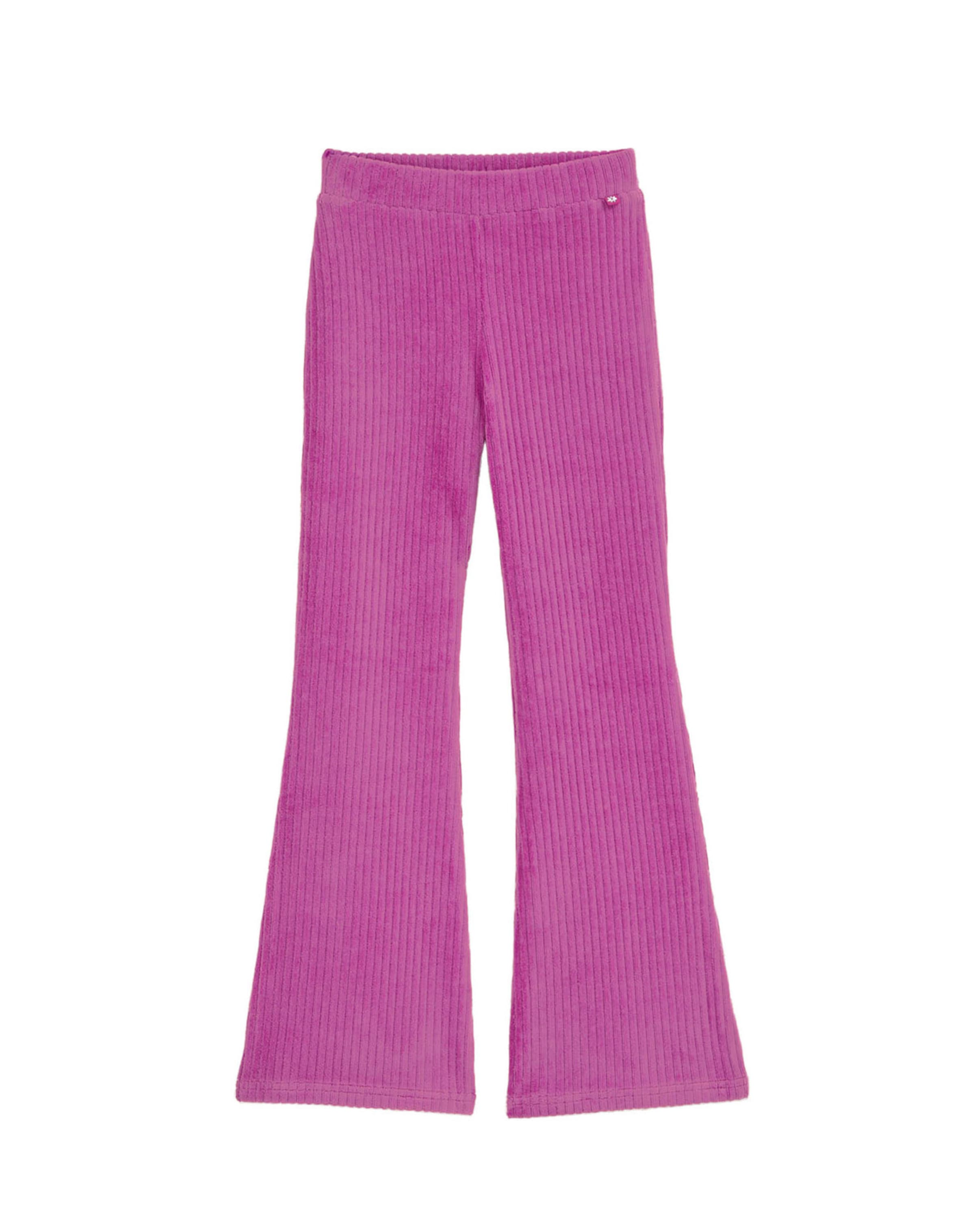 WE Fashion Levenevä Leggingsit värissä lila: etupuoli