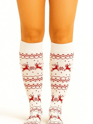 Lycille Knee High Socks in Beige