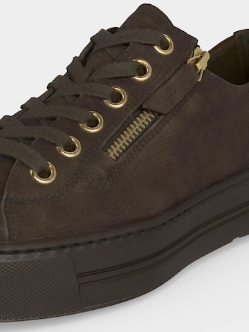 Paul Green Sneakers in Brown