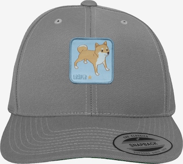 F4NT4STIC Cap 'Shiba Inu' in Silver: front