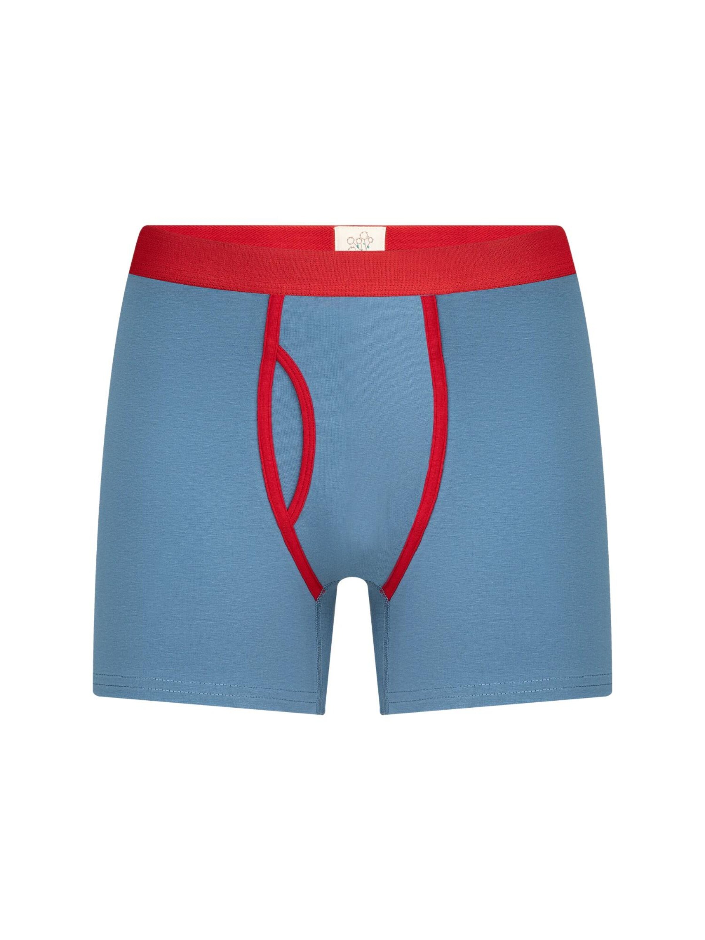 Albero Natur Boxer shorts 'Herren Boxershorts aus Bio-Baumwolle' in Blue: front