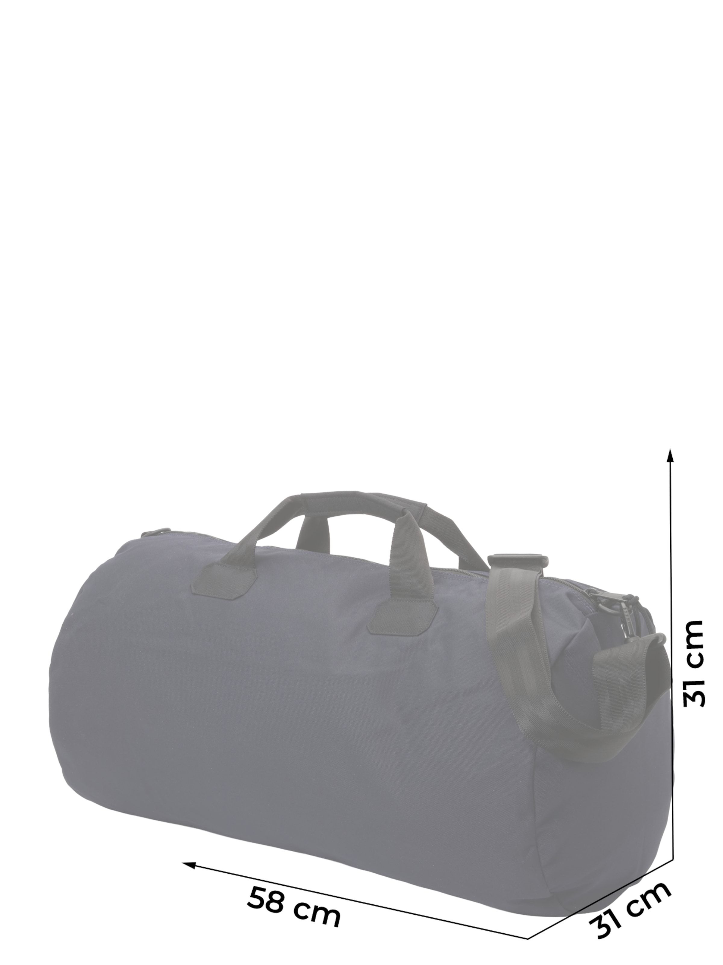 NAPAPIJRI Reisikott 'HADERS', värv sinine: eest vaates