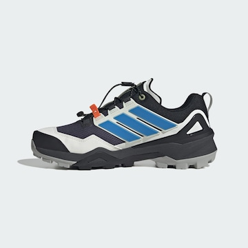 ADIDAS TERREX Lage schoen 'Skychaser' in Grijs