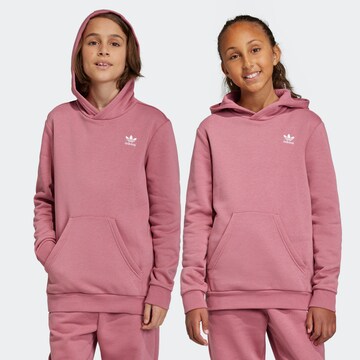 ADIDAS ORIGINALS Sweatshirt 'Adicolor' in Pink: front