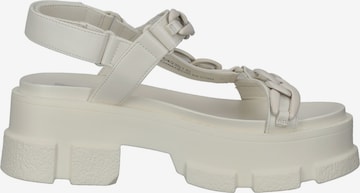 STEVE MADDEN Sandals in White