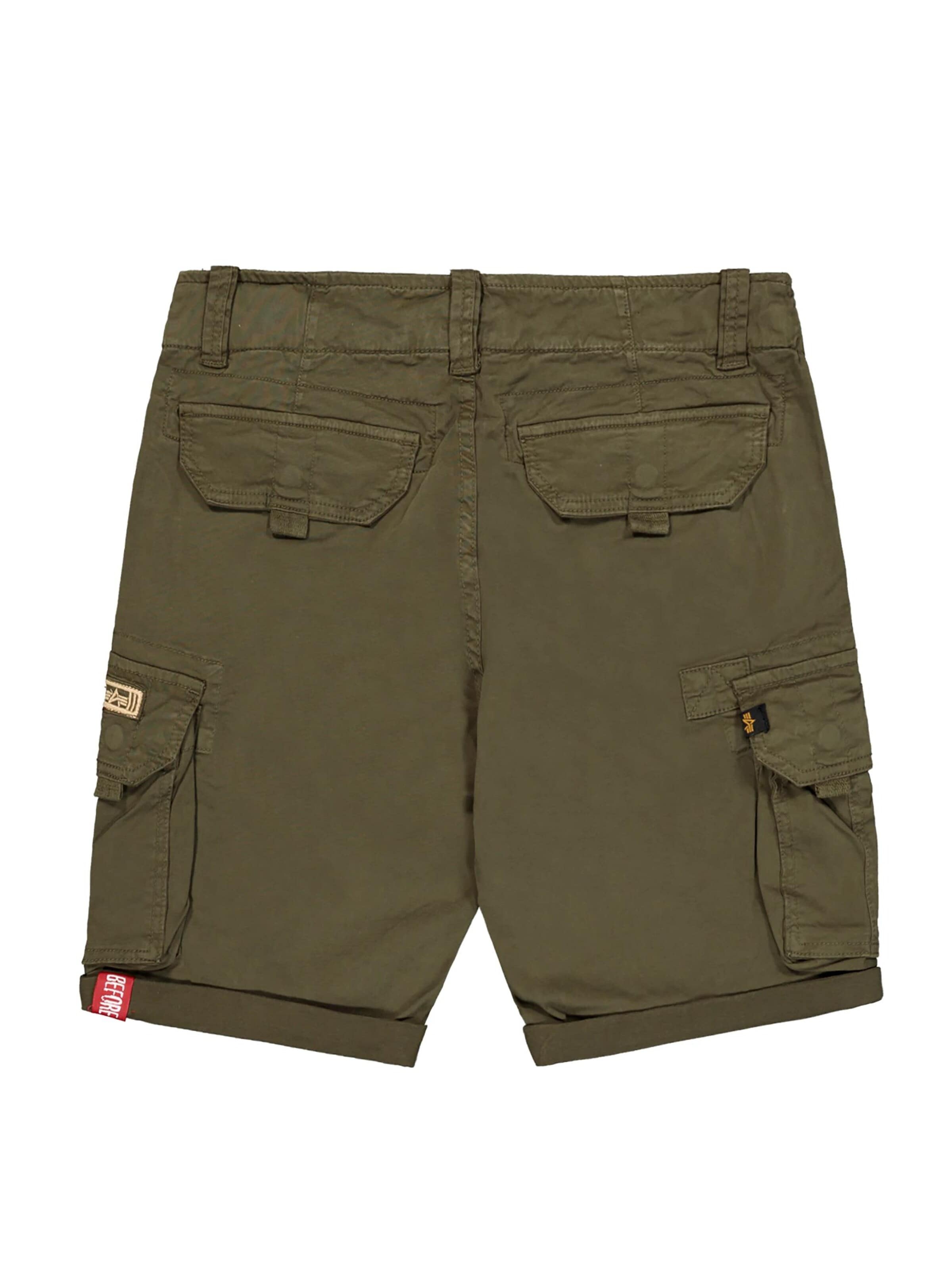 Regular Pantalon cargo ALPHA INDUSTRIES en vert