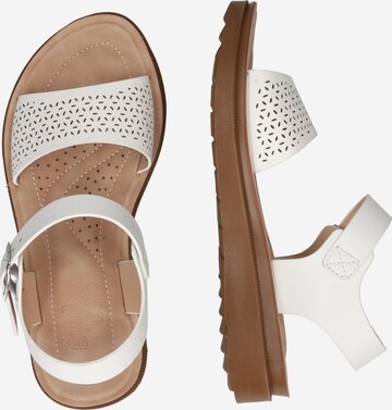 Dorothy Perkins Sandals 'Ava' in White