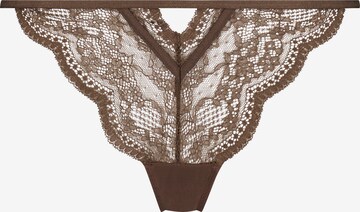 Hunkemöller Panty 'Isabelle' in Brown: front