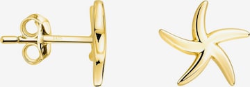 Sofia Milani Ohrringe 'Star' in Gold: Vorderseite