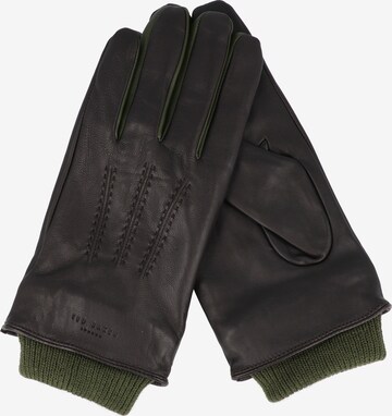 Ted Baker Full Finger Gloves in Green