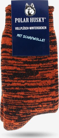 Polar Husky Socken in Orange