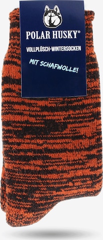 Polar Husky Socks in Orange