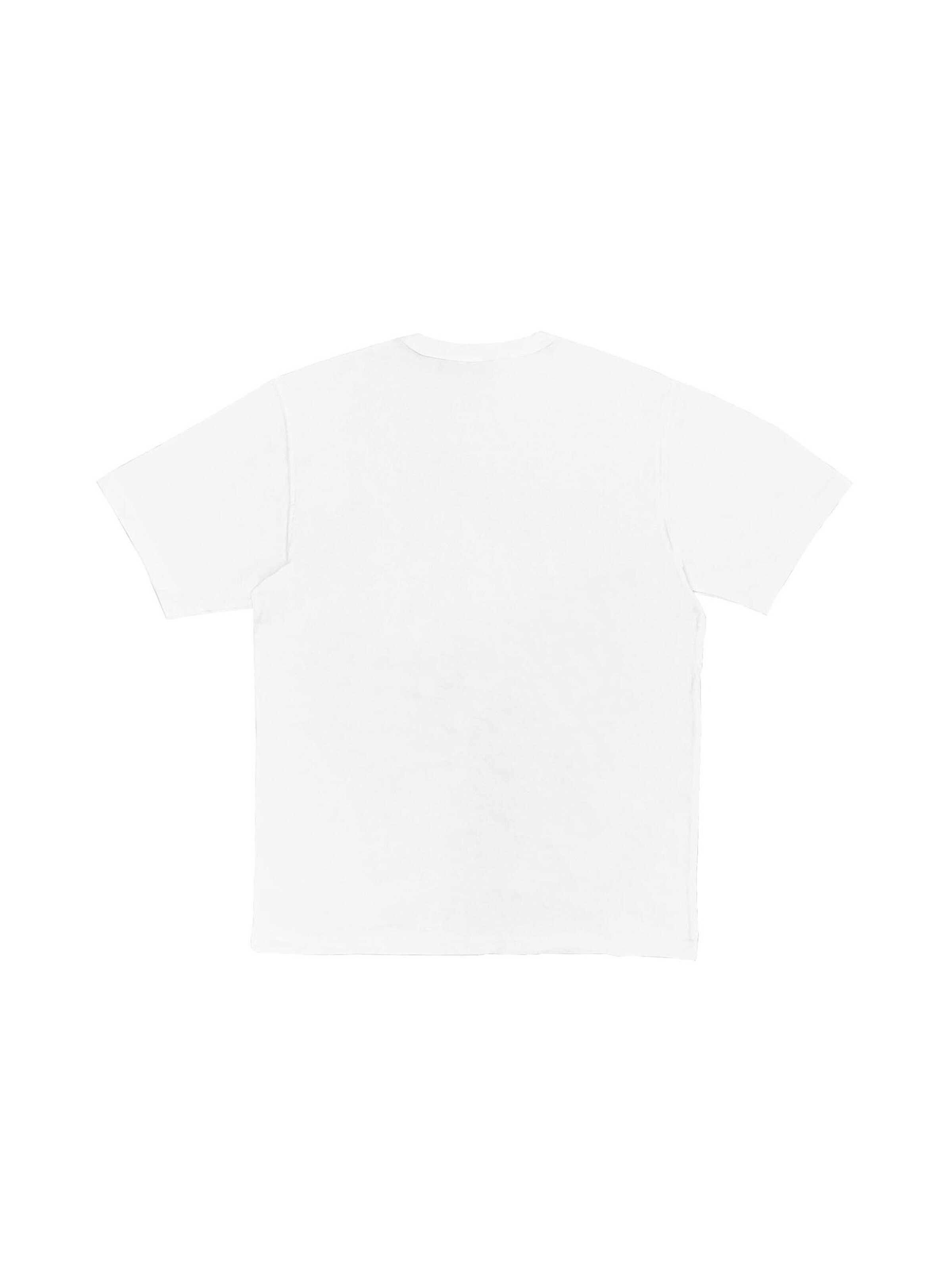 DICKIES Shirt 'Aitkin'‌‌‌‌‌‌‌‌‌ in Weiß