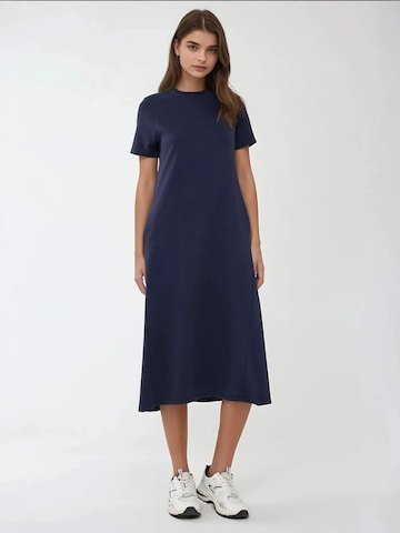 Hiccup Dress in Blue: front