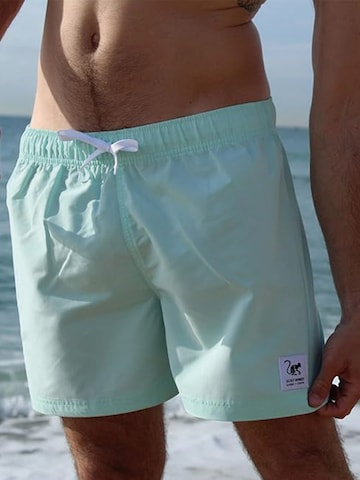 Surf Monkey Boardshorts in Blauw
