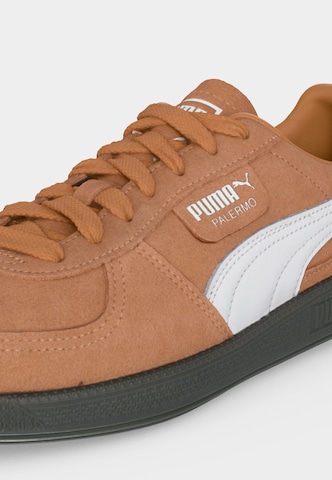 PUMA Madalad ketsid 'Palermo', värv pruun