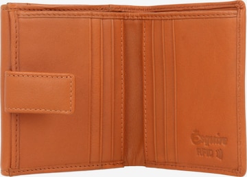 Esquire Wallet 'Peru' in Brown