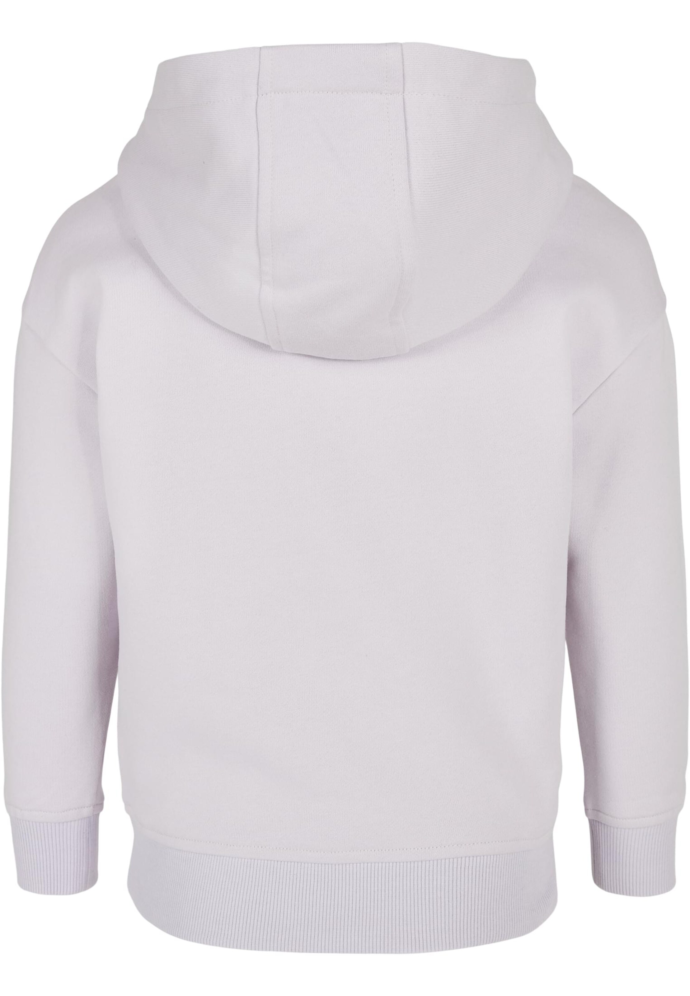 Urban Classics Sweatshirt in Purple