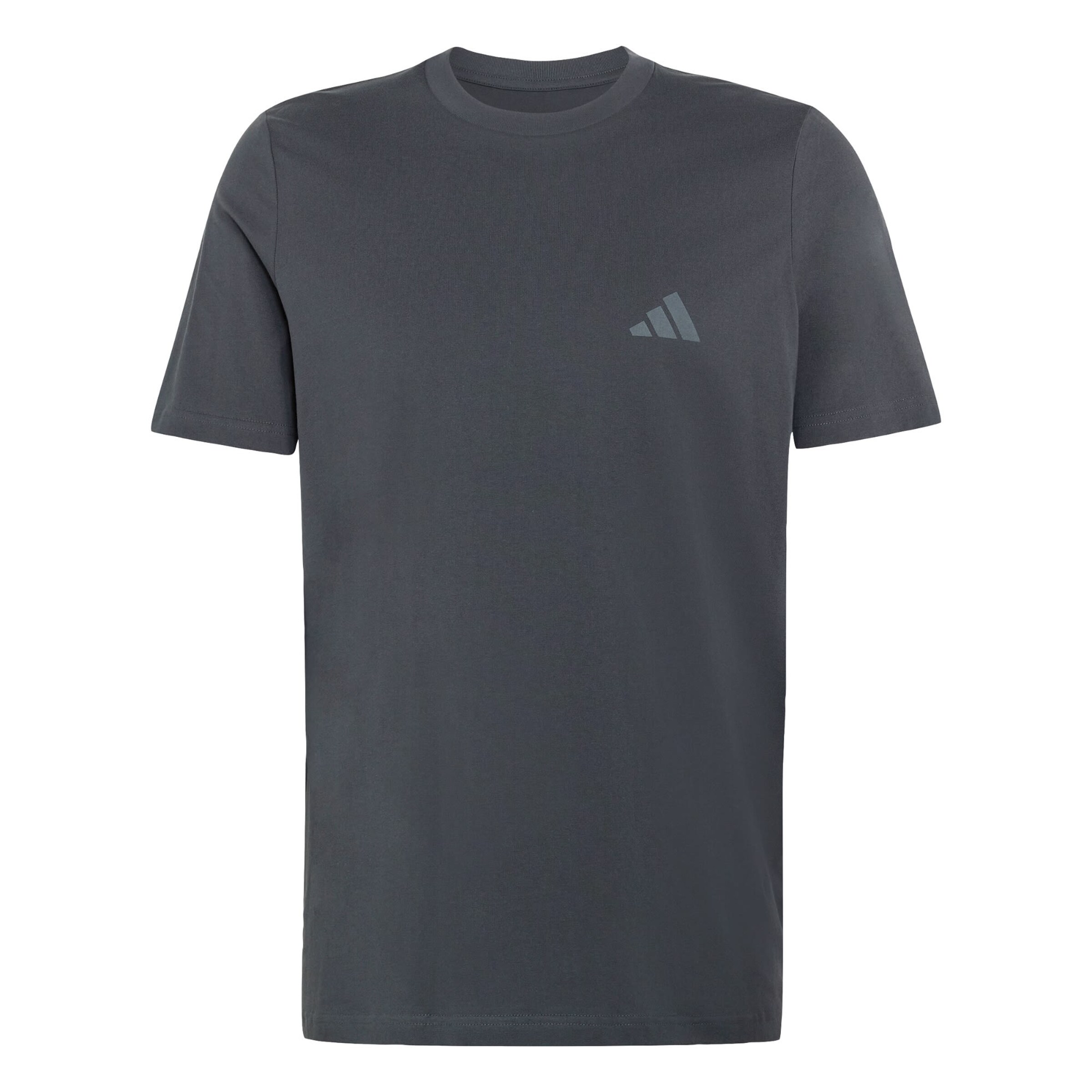 ADIDAS TERREX Functioneel shirt 'Mountain' in Grijs: voorkant
