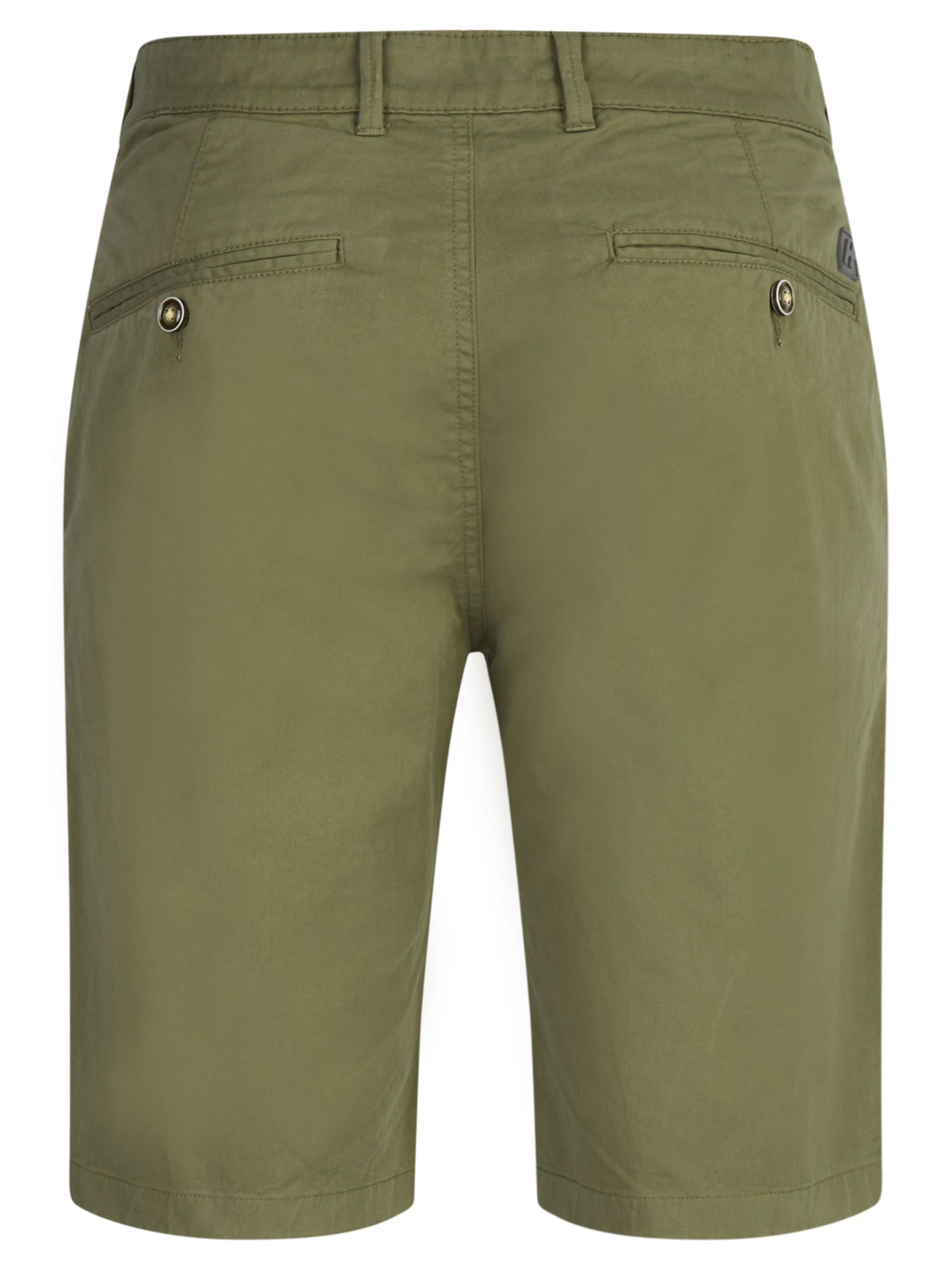HECHTER PARIS Regular Pants in Green