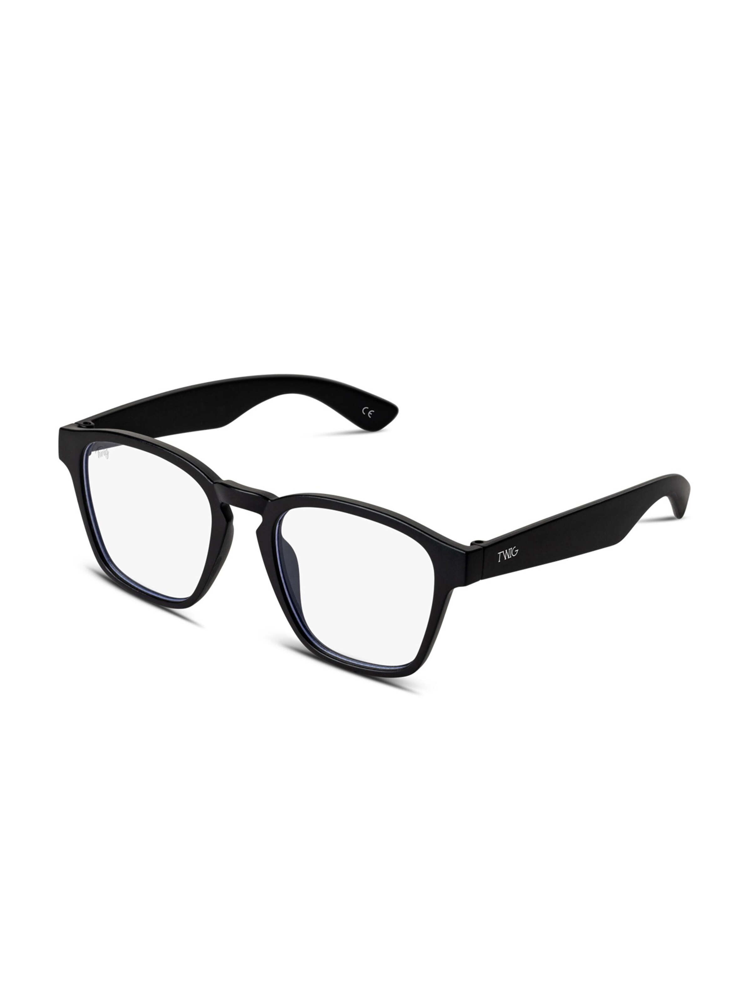 TWIG Concept Milano - Óculos 'Hayez' em preto: frente