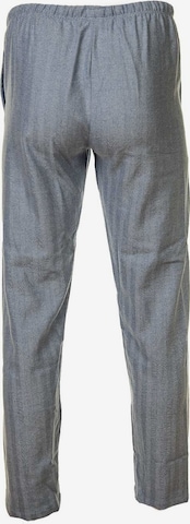 NOVILA Tapered Pants in Grey