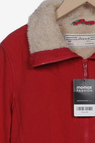 Dolomite Sweatshirt & Zip-Up Hoodie in M in Red
