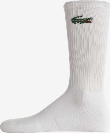 LACOSTE Socken in Weiß: Vorderseite