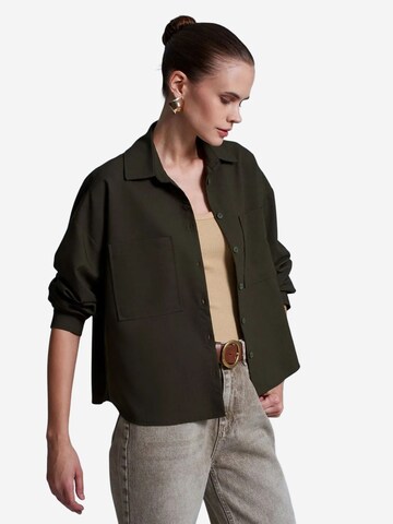 Dilvin Shirt in Groen